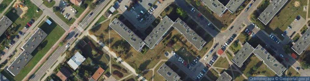 Zdjęcie satelitarne Efekt Bukowski Piotr