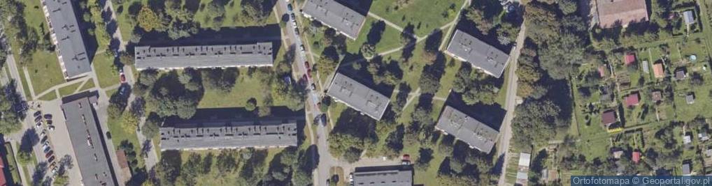 Zdjęcie satelitarne FLOT