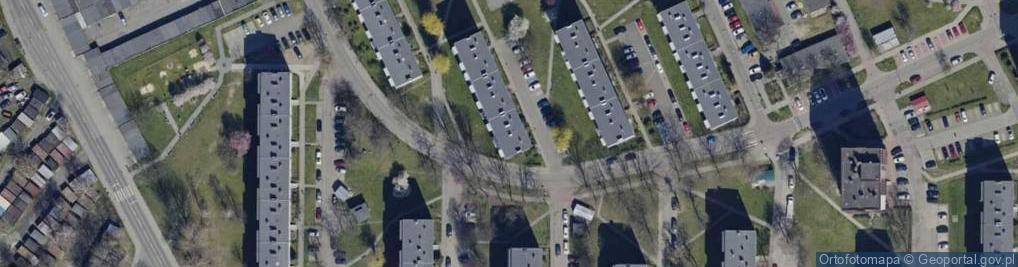 Zdjęcie satelitarne Gemini Michał Gieszczyk