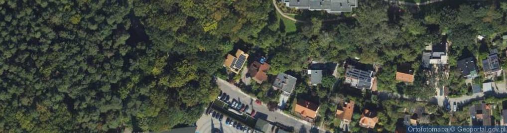 Zdjęcie satelitarne Most