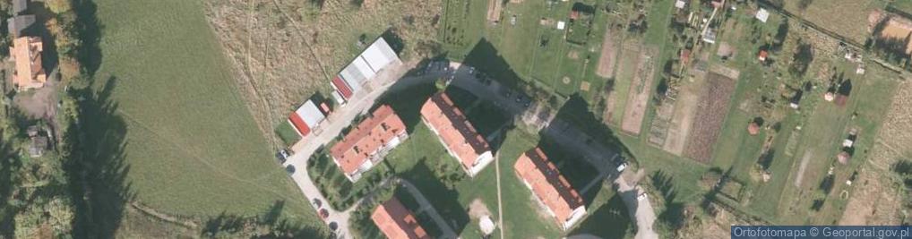 Zdjęcie satelitarne Płytkarstwo Malarstwo Wiesław Walczak