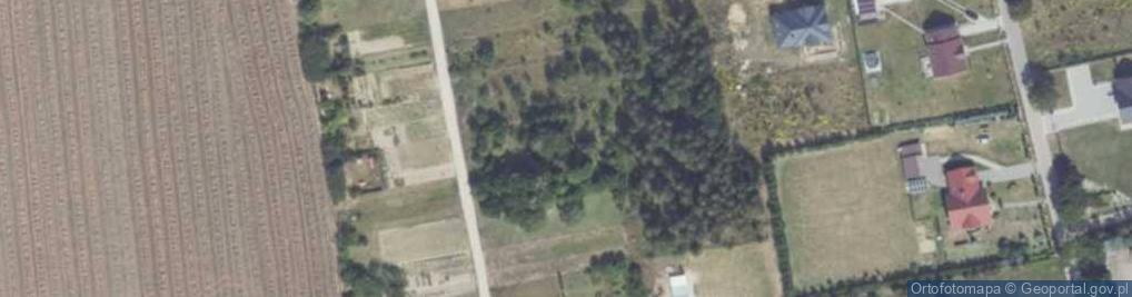 Zdjęcie satelitarne Przedsiębiorstwo Robót Drogowych i Usług Sprzętowo Transportowych w Upadłości