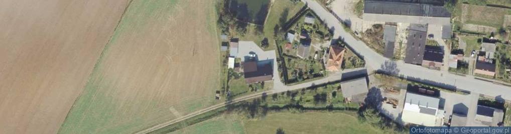 Zdjęcie satelitarne Remon - Bud Adam Dobruchowski