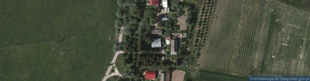 Zdjęcie satelitarne Tadeusz Główka - Działalność Gospodarcza