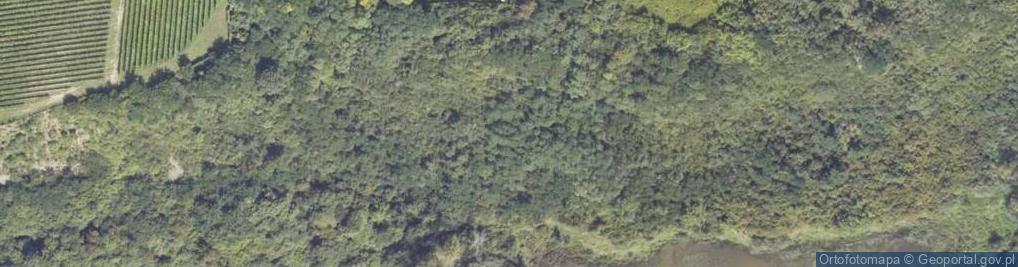 Zdjęcie satelitarne Ciekawe miejsce