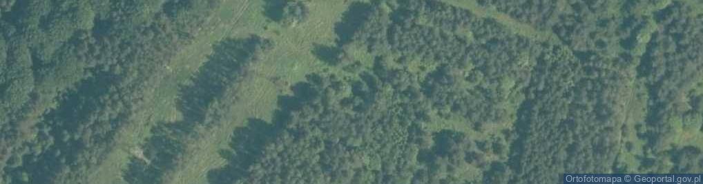 Zdjęcie satelitarne Cisowe Skały