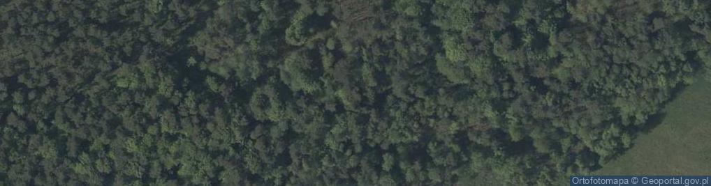 Zdjęcie satelitarne Debrza rz. Sopot Mały