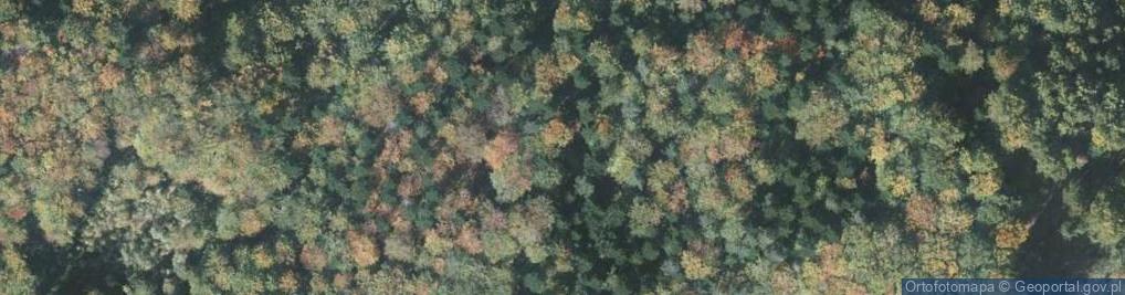 Zdjęcie satelitarne Diabla skała
