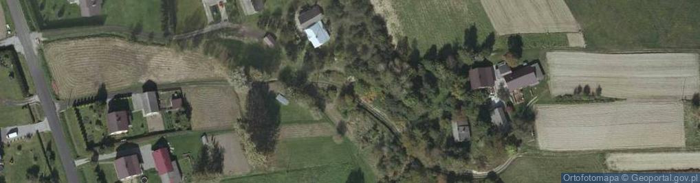 Zdjęcie satelitarne Diatomity w Dolinie Potoku Ryjak