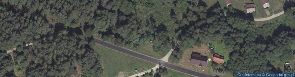 Zdjęcie satelitarne Dolina rz. Krupiec