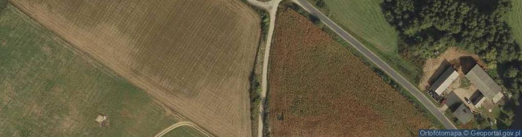 Zdjęcie satelitarne Drumlin w Oborach