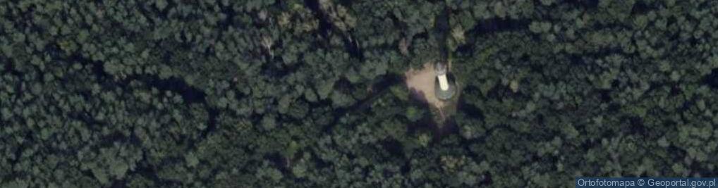 Zdjęcie satelitarne Dziewicza Góra