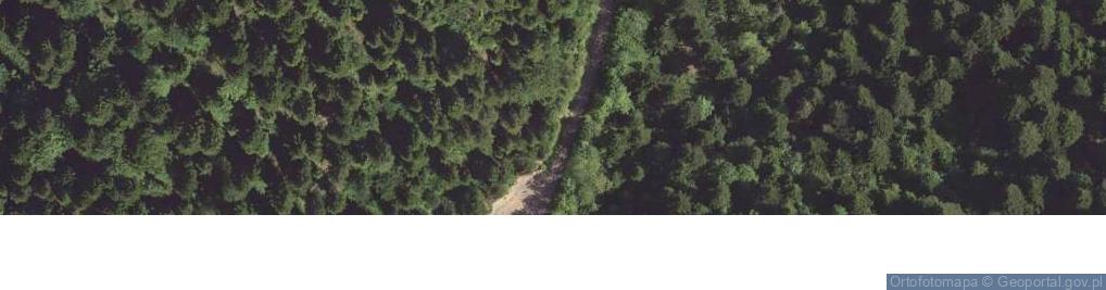 Zdjęcie satelitarne Fałd w warstwach cieszyńskich w Łuskach Bystrego