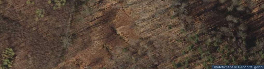 Zdjęcie satelitarne Głaz na wzgórzu w Lasach Oliwskich