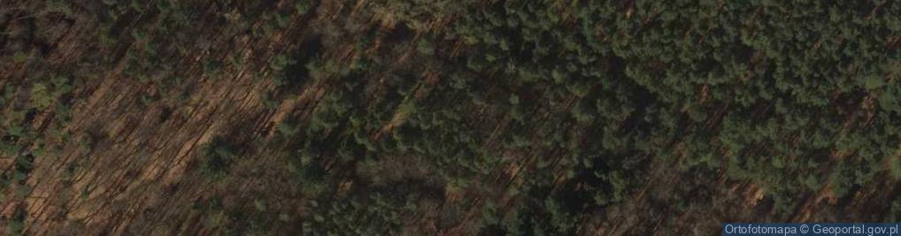 Zdjęcie satelitarne Głazy narzutowe