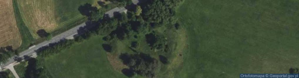 Zdjęcie satelitarne Grodzisko (XI w.)