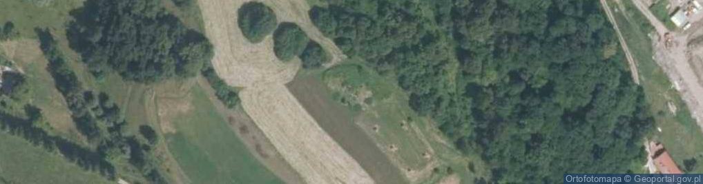 Zdjęcie satelitarne Grodzisko z Golgotą