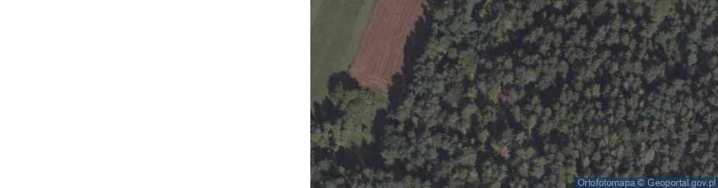 Zdjęcie satelitarne Historyczne podziemne kopalnie kamieni młyńskich