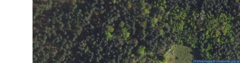 Zdjęcie satelitarne Jamnicze Skały