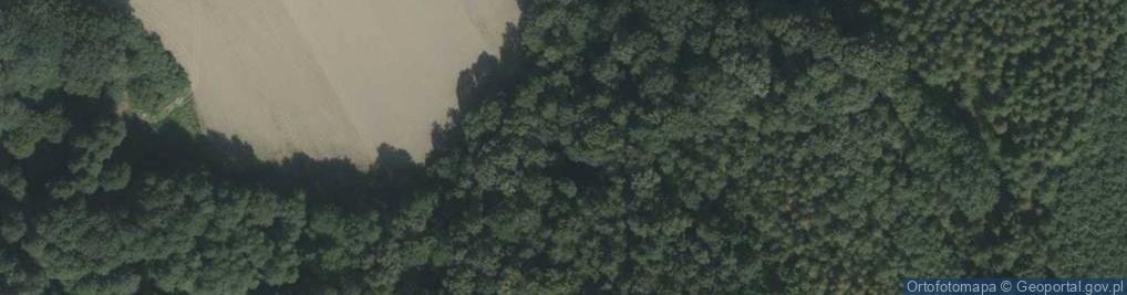 Zdjęcie satelitarne Kamieniołom granitu Jarnołtów