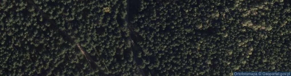 Zdjęcie satelitarne Kopalnia Liczyczepa