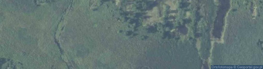 Zdjęcie satelitarne Koryto rz. Zwolenka