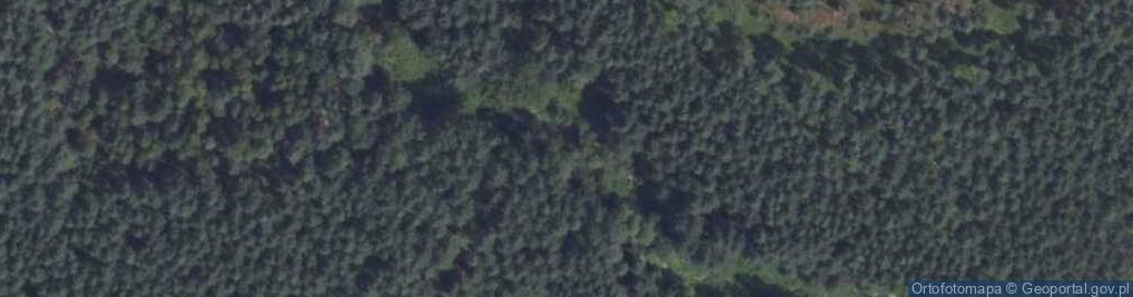 Zdjęcie satelitarne Kozi Bród