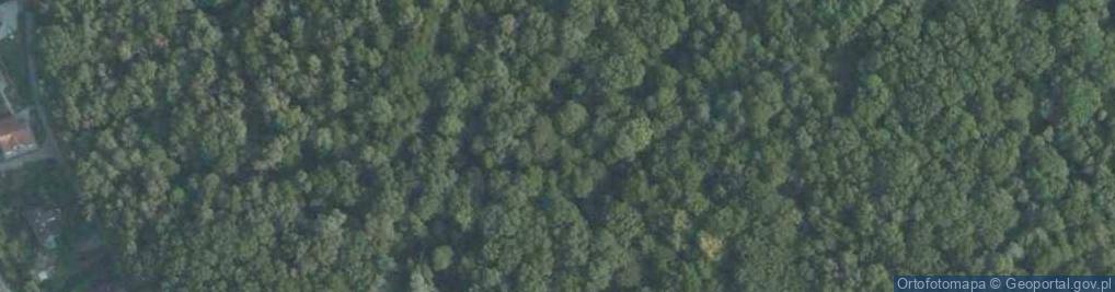 Zdjęcie satelitarne Kurhany w Jawczycach