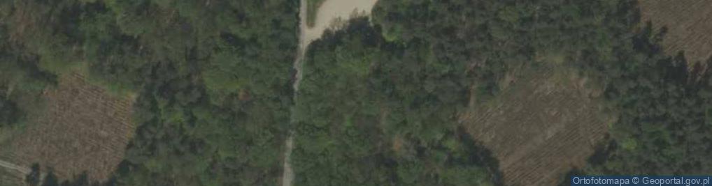 Zdjęcie satelitarne Leśna ścieżka dydaktyczna
