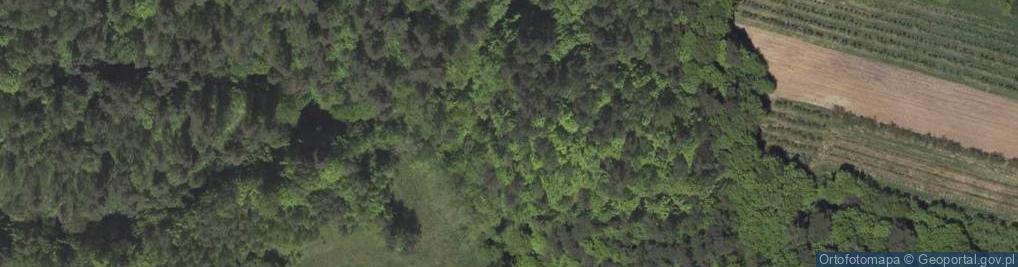 Zdjęcie satelitarne Martwica wapienna
