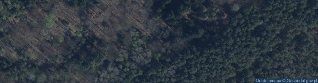 Zdjęcie satelitarne Meandry rz. Skroda