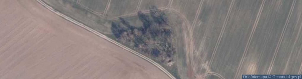 Zdjęcie satelitarne Megalit w Krępcewie