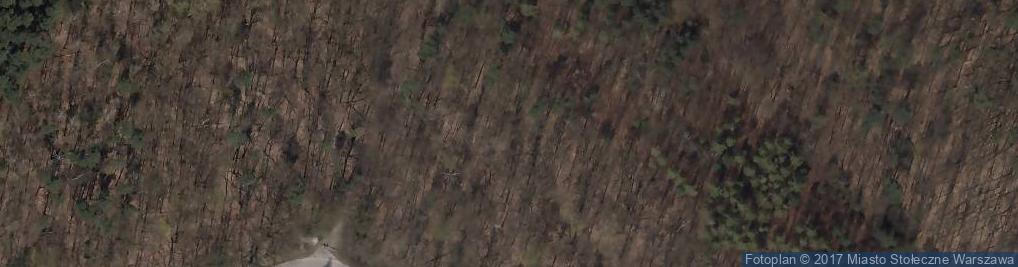 Zdjęcie satelitarne Miejsce katastrofy w Lesie Kabackim