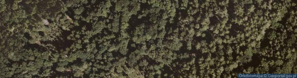 Zdjęcie satelitarne Mur historyczny