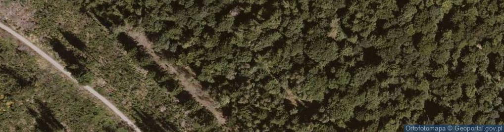 Zdjęcie satelitarne Mur historyczny