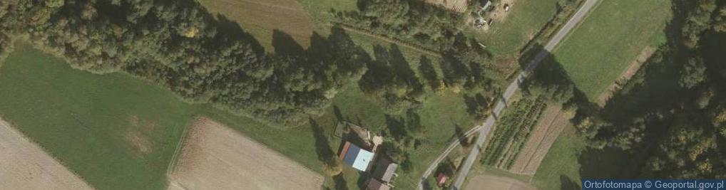 Zdjęcie satelitarne Odsłonięcie warstw inoceramowych w Wenecji