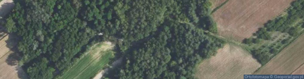 Zdjęcie satelitarne Okazały wąwóz lessowy - Podszyńskie Doły