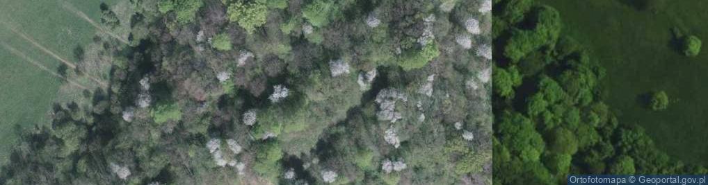 Zdjęcie satelitarne Osada obronna na Górze Tuł