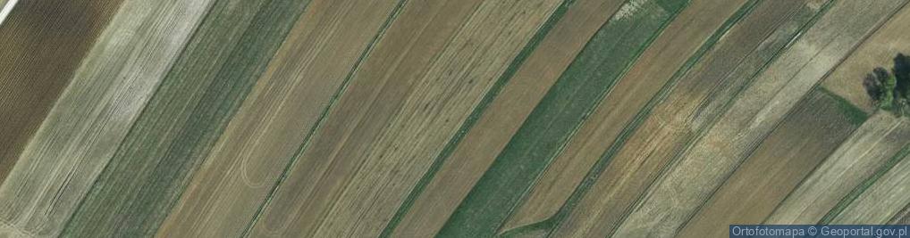 Zdjęcie satelitarne Ostaniec 229 m n.p.m.