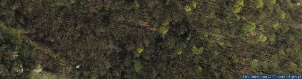 Zdjęcie satelitarne Park i groby rodziny Von Treskow