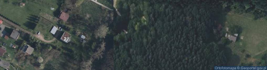 Zdjęcie satelitarne Piaski bogucickie
