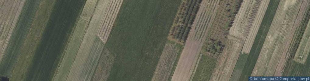 Zdjęcie satelitarne Piaski wydmowe na utworach fluwioglacjalnych w Podlesiu