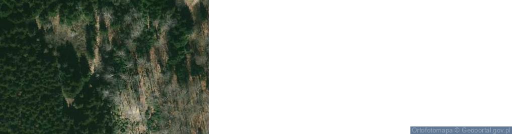 Zdjęcie satelitarne Piaskowce ciężkowickie na Górze Zamczyska