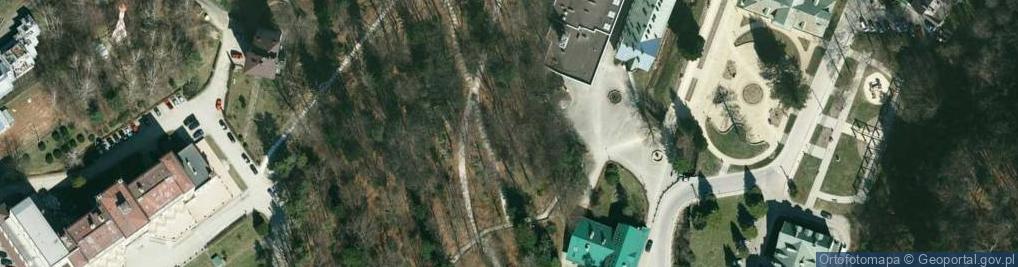 Zdjęcie satelitarne Piaskowce ciężkowickie w Parku Zdrojowym w Iwoniczu Zdroju