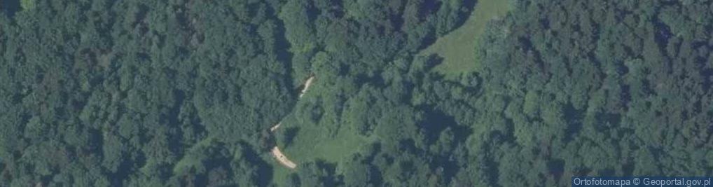 Zdjęcie satelitarne Pieniński Potok 678 m. n.p.m
