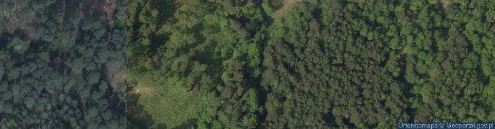 Zdjęcie satelitarne Plac ćwiczeń z autodromem