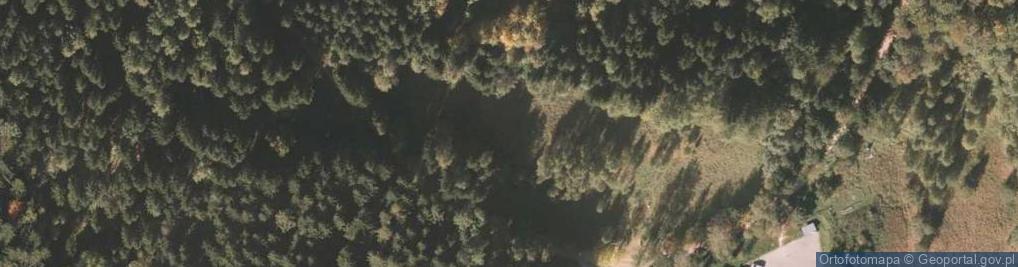 Zdjęcie satelitarne Podziemne Miasto - kompleks Osówka