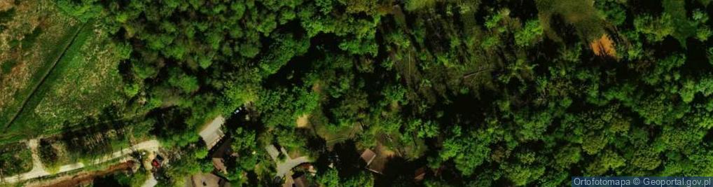 Zdjęcie satelitarne Pokazowa Zagroda Żubrów w Pszczynie