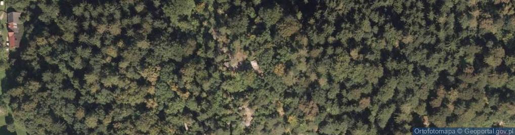 Zdjęcie satelitarne Pomnik (Kolumna) Bismarcka