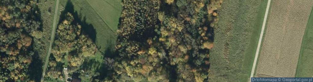 Zdjęcie satelitarne Progi skalne w Sikorówce